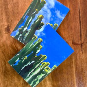 cuaderno con foto de cactus para anotaciones importantes y regalo