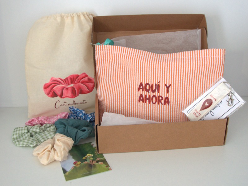 packs-regalo-navidad-cactusindesierto